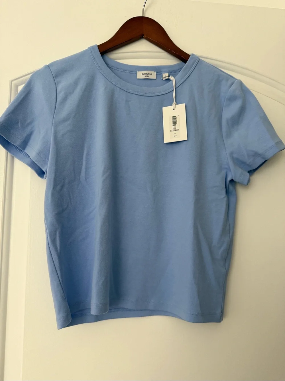 Aritzia Sunday Best T-Shirt - Picture 4 of 8